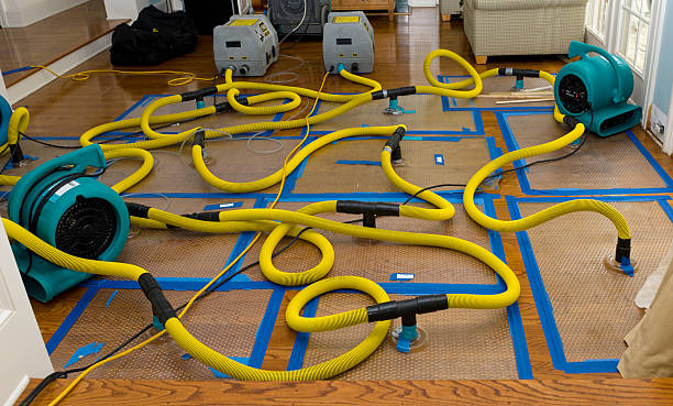 Professional Crawl Space Water Removal technician working in Byfield, MA